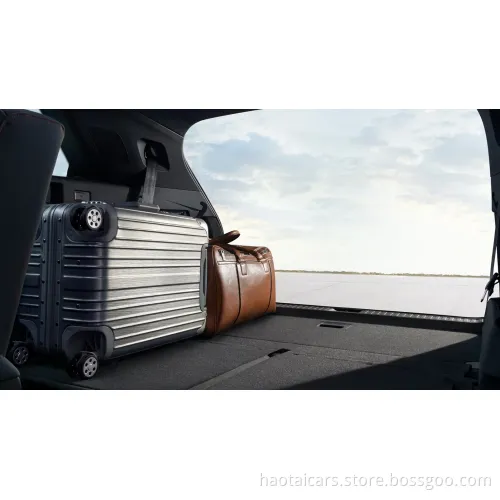 2023 in Stock Luxury New Energy Electric Adult SUV Car